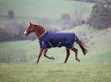 Shires Highlander 600D Turnout Blanket - 200g