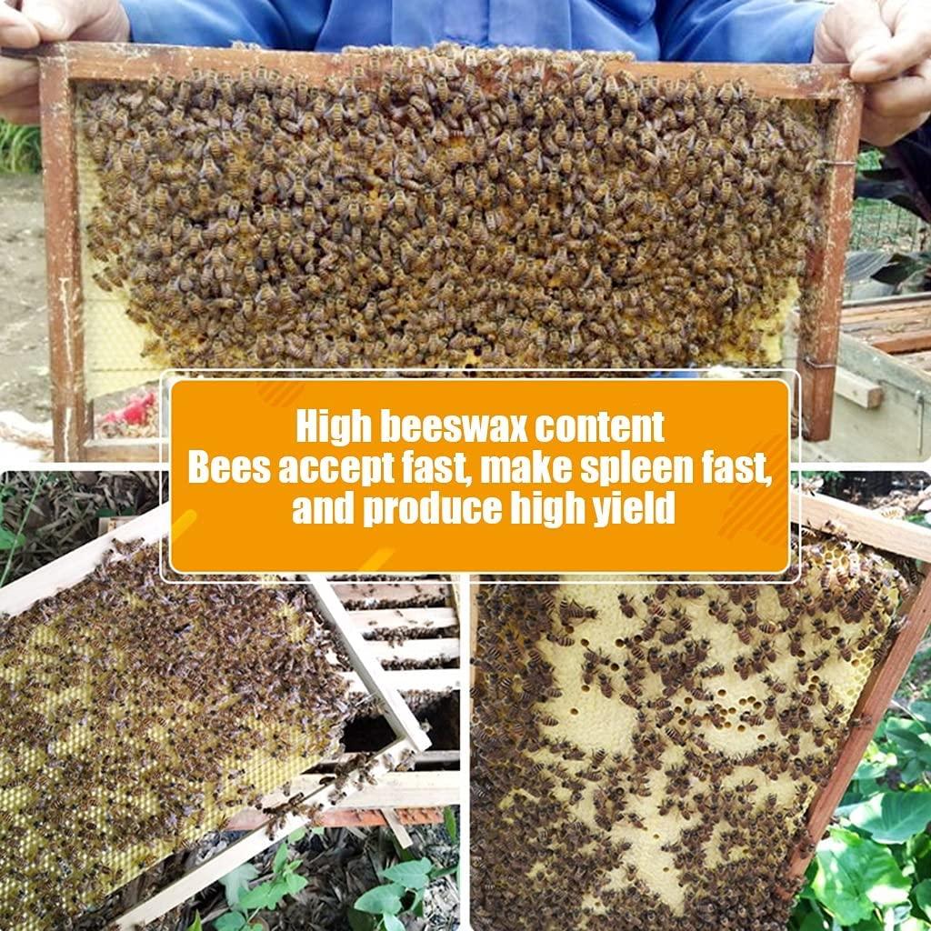 beehive house, 10 frame wood outdoor beehive bee box, w/10 nest frame,beekeeping supplies equipment tool, bee box for beekeeper starter, easy to install