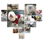 Supicity Adjustable Dog Wheelchair for Back Legs,Hind Legs Auxiliary Pet Wheelchair,Soft Comfortable Dog Wheelchair for Small/Medium/LarDog Refined