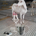 dishengzhen goat milking machine electric, 7l pulsation vacuum pump sheep milker, stainless steel food grade milking device, automatic portable livestock milking