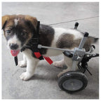 ZHIJIA Pet Disabled Wheelchair Disabled Pet Wheelchair 2 Rounds Dog Hind Leg Moped Light Weight Adjustable Multi-Size Optional