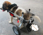 ZHIJIA Pet Disabled Wheelchair Disabled Pet Wheelchair 2 Rounds Dog Hind Leg Moped Light Weight Adjustable Multi-Size Optional