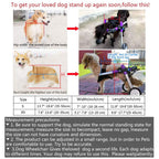 HiHydro 6 Types Cart Pet Wheelchair for Handicapped Hind Legs Small Dog Cat/Doggie/Puppy Walk  Steel