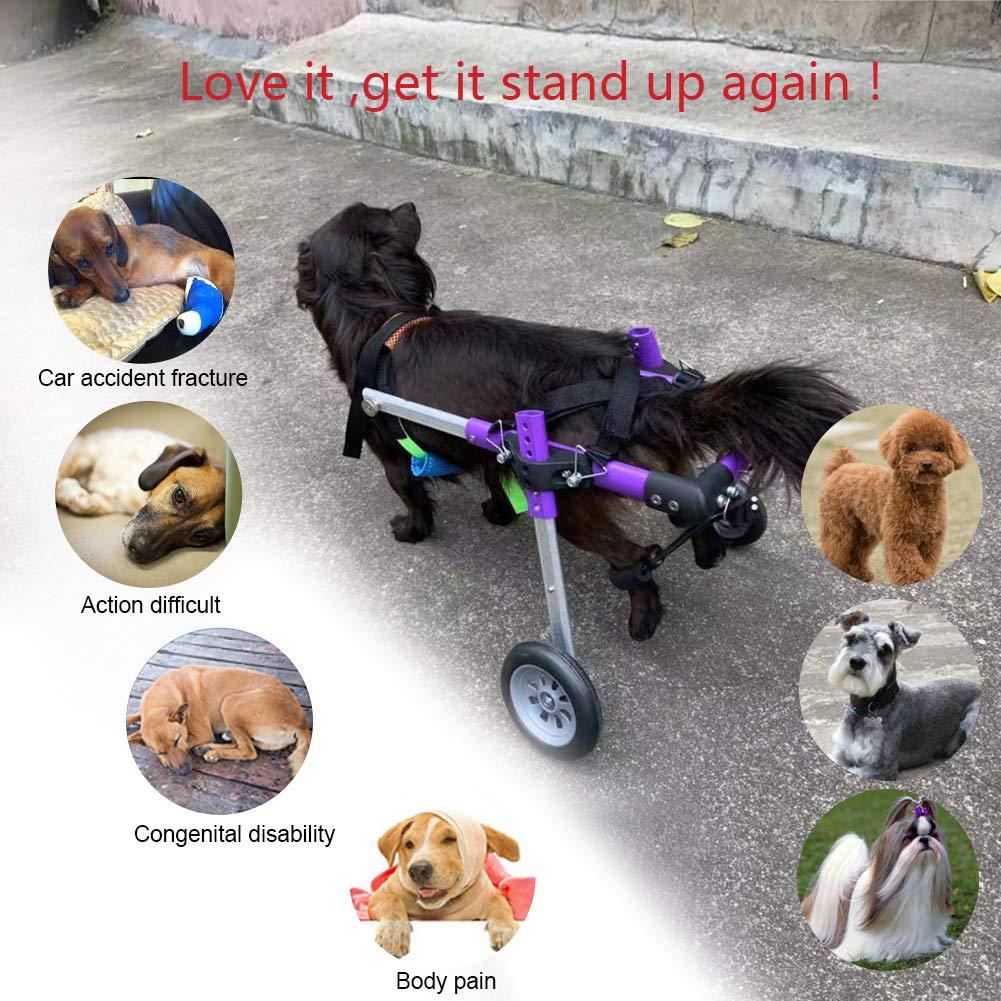 HiHydro 6 Types Cart Pet Wheelchair for Handicapped Hind Legs Small Dog Cat/Doggie/Puppy Walk  Steel