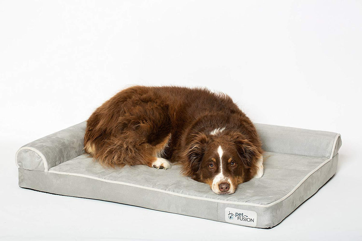 PetFusion BetterLounDog Bed w/ solid orthopedic Memory Foam, Waterproof foam liner, &amp; YKK zippers. (Easy clean, removable micro-suede cover). 1 yr Warranty