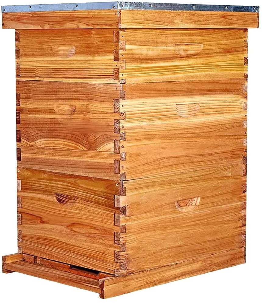 maybee bee hive 10 frame bee hives and supplies starter kit, bee hive for beginner, honey bee hives includes 2 deep bee boxes, 1 bee hive super with beehive frames and foundation