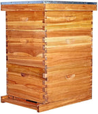 maybee bee hive 10 frame bee hives and supplies starter kit, bee hive for beginner, honey bee hives includes 2 deep bee boxes, 1 bee hive super with beehive frames and foundation