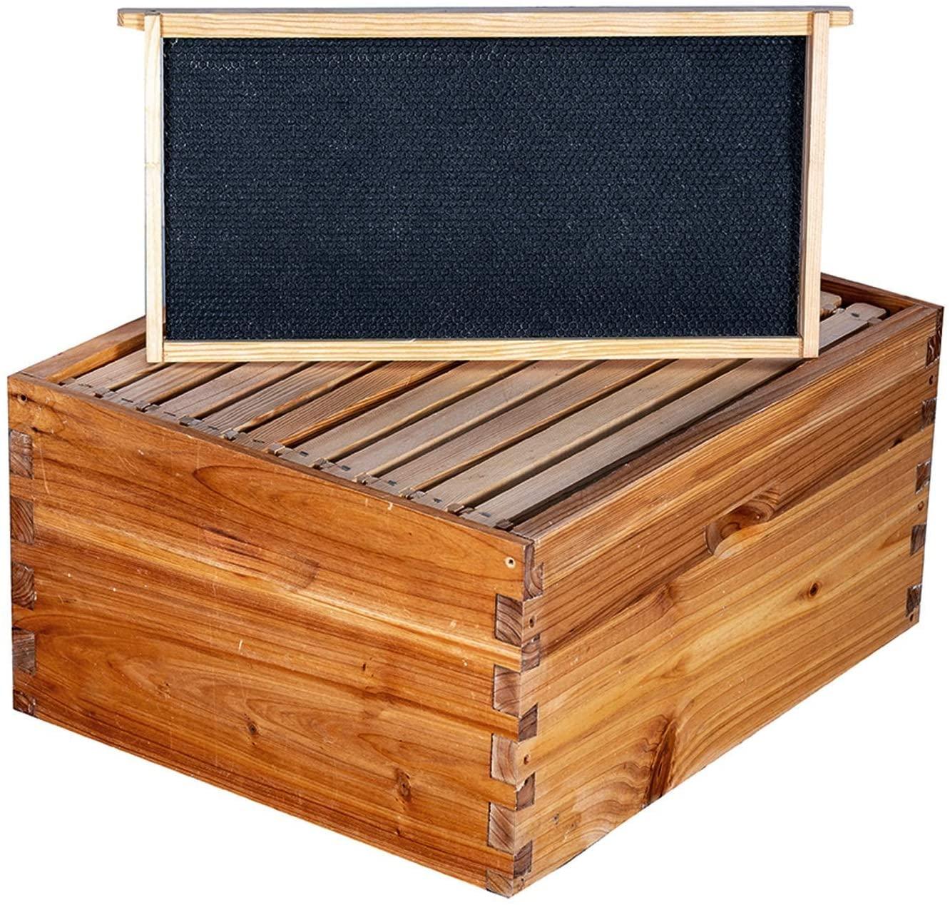 maybee bee hive 10 frame bee hives and supplies starter kit, bee hive for beginner, honey bee hives includes 2 deep bee boxes, 1 bee hive super with beehive frames and foundation