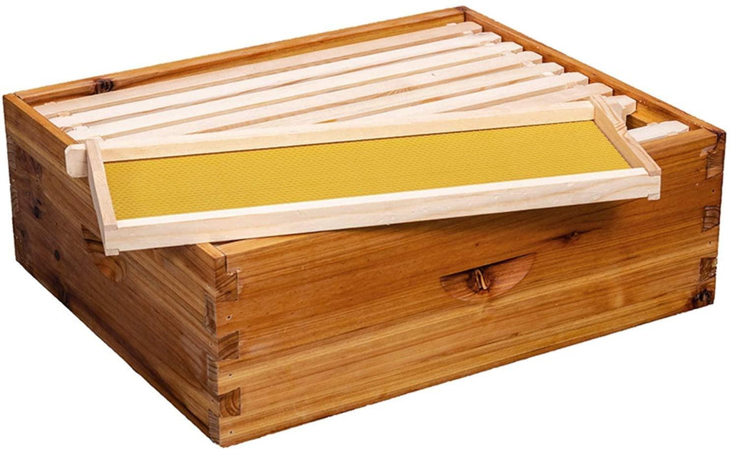 maybee bee hive 10 frame bee hives and supplies starter kit, bee hive for beginner, honey bee hives includes 2 deep bee boxes, 1 bee hive super with beehive frames and foundation