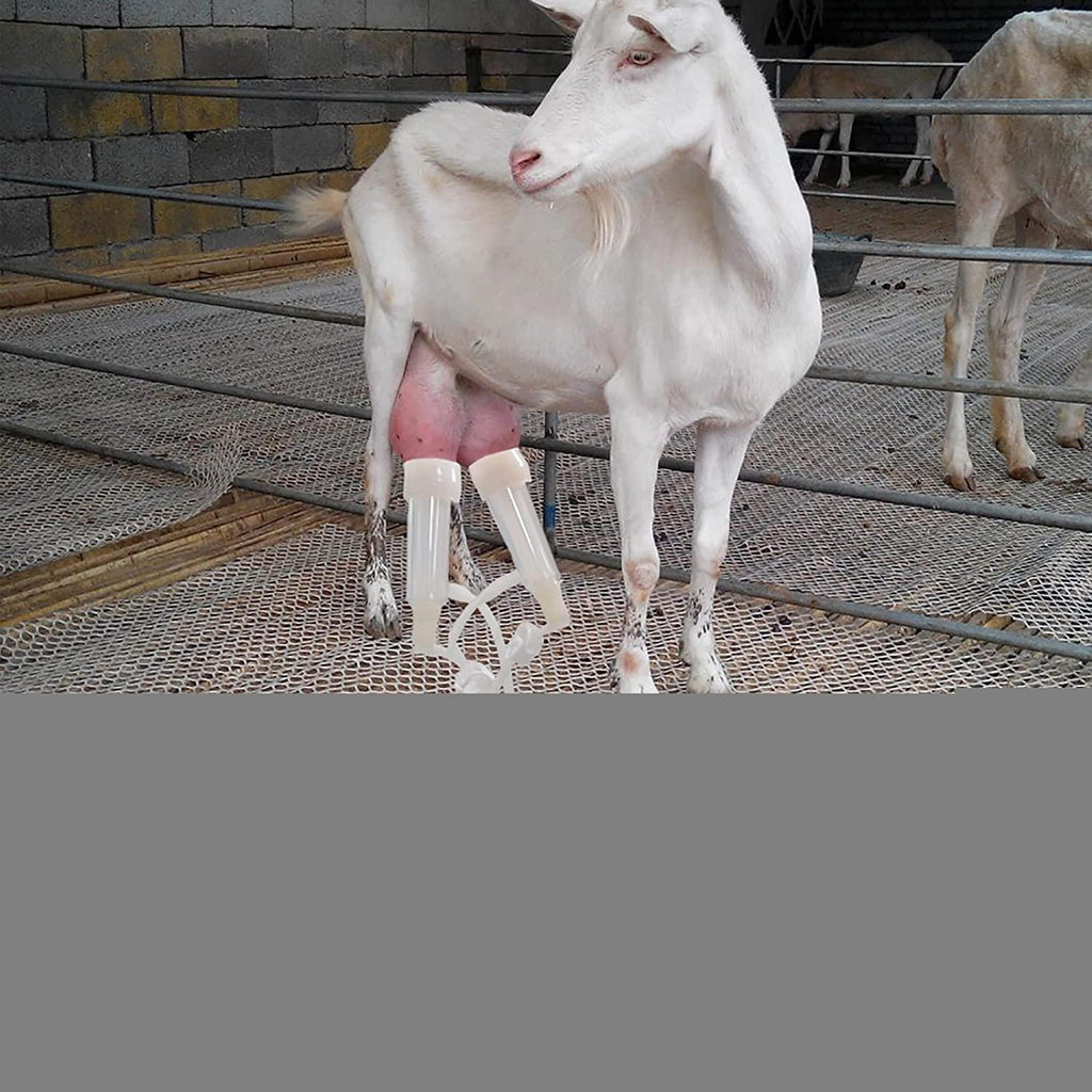 dishengzhen cow goat milking machine, 3l pulsation vacuum pump milker, automatic portable livestock milking equipment, with stainless steel bucket