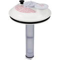 PENTAIR POOL PRODUCTS Chemical Dispenser, Pentair Rainbow RTL/Bromine