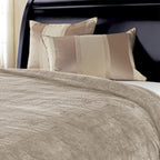 Sunbeam Electric Heated Plush Channeled Blanket, Dual Controls, Queen, Mushroom