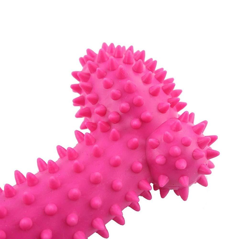 HYJT Rubber Dog Toy with Thorn Bone Rubber Molar Teeth Pet Toy Dog bite Resistant Molar