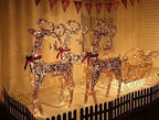 Lar4-Piece LED Lighted Hoilday Reindeer Family Christmas Decoration for Yard-Golden Reindeer 48",Sleigh 48"(L)*36"(H)&amp;Tree Tower71"