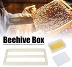 honey beehive box, plastic beekeeping comb hive house beehive box frame set honey keeper kit beekeeping supplies with comb foundation and beehive frame, perfect tool for beekeepers