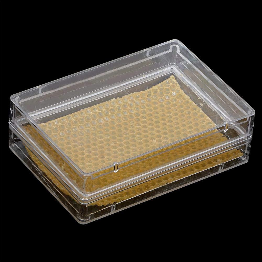honey beehive box, plastic beekeeping comb hive house beehive box frame set honey keeper kit beekeeping supplies with comb foundation and beehive frame, perfect tool for beekeepers