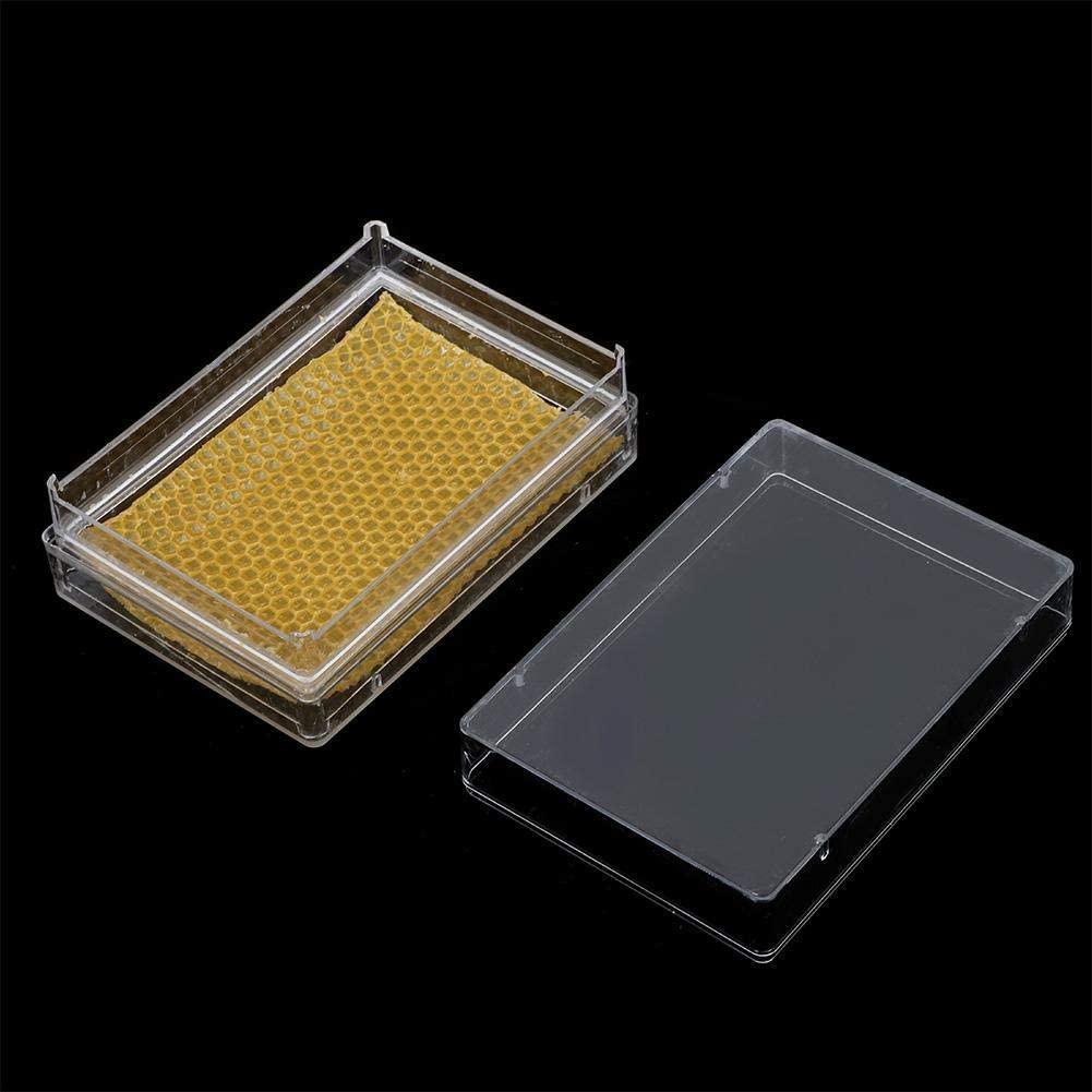 honey beehive box, plastic beekeeping comb hive house beehive box frame set honey keeper kit beekeeping supplies with comb foundation and beehive frame, perfect tool for beekeepers