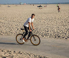Single Speed Fixed Gear Bicycle by Solé Bicycles- Foamside