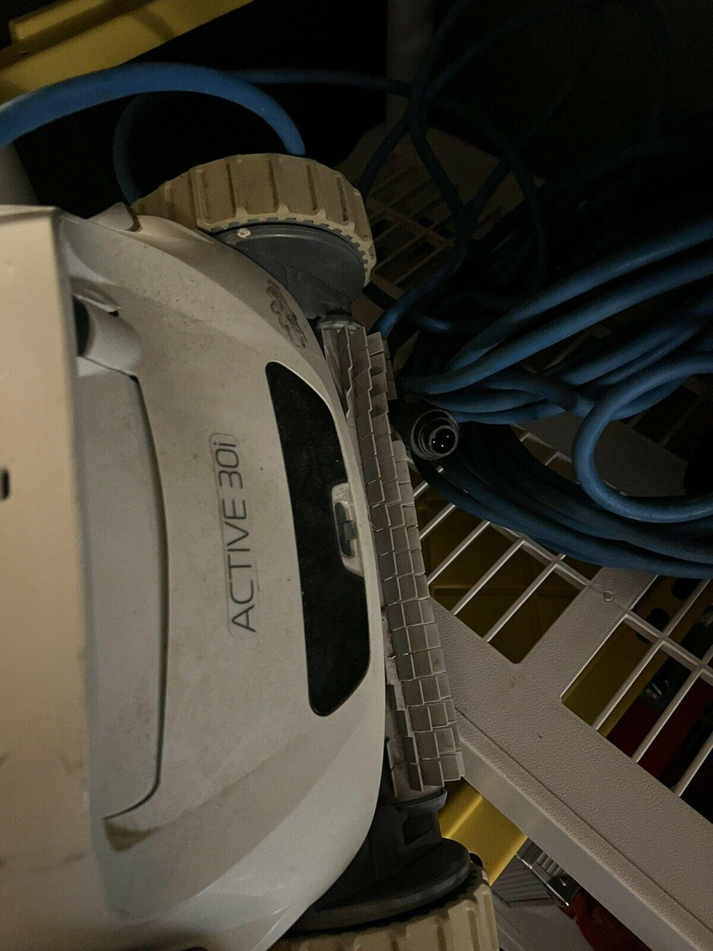 maytronics dolphin active 30i w/swivel robot pool cleaner