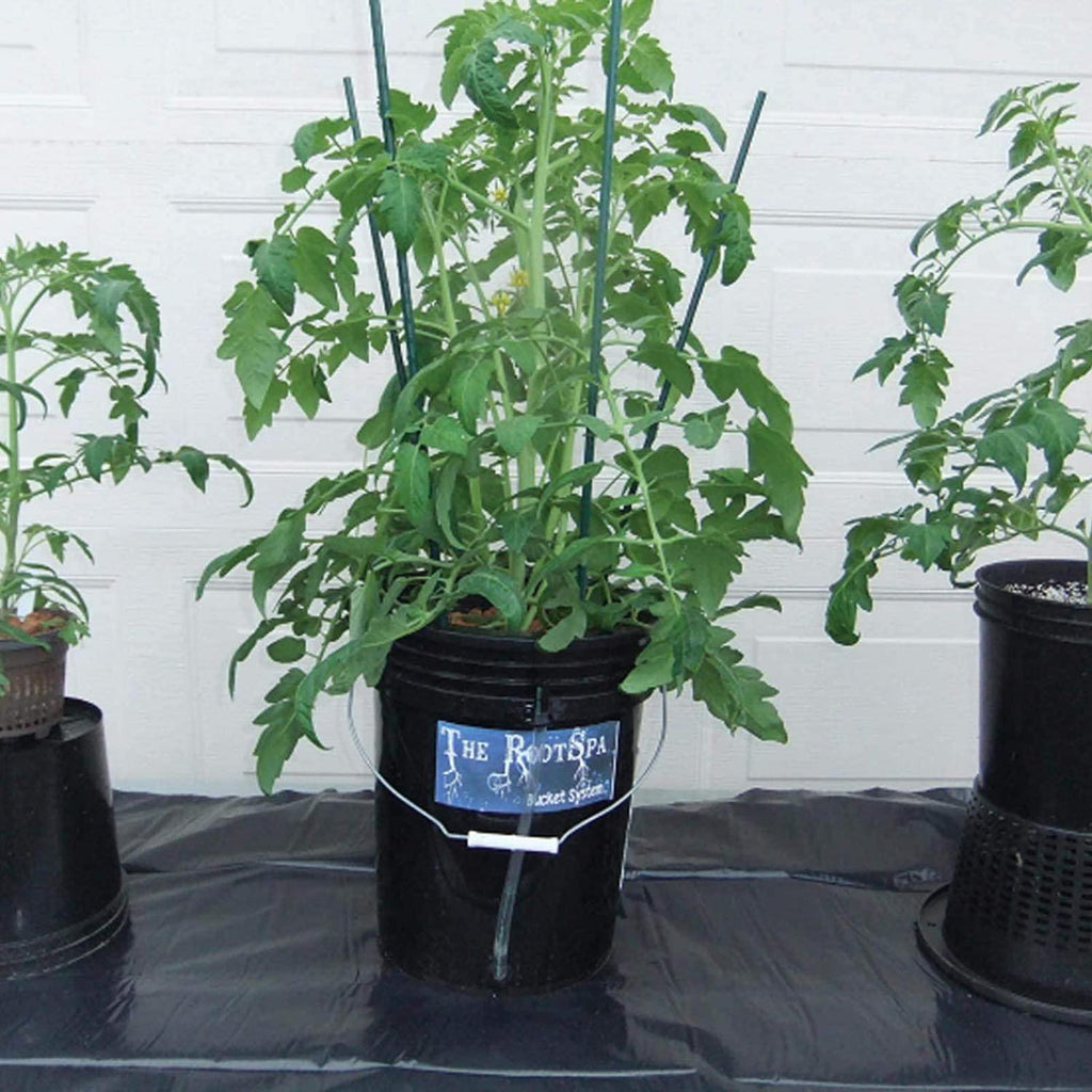 active aqua rs5galsys root spa 5 gallon hydroponic bucket deep water culture grow kit system with multi-purpose air hose and air pump, black, 2 pack