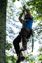 Teufelberger treeMOTION Harness for Arborists – Belt-and-Sit Saddle with Rear Tie-in Attachment (One-Size, Black)