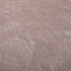 Sunbeam Queen Premium Soft Electric Heated Blanket Velveteen Plush 20 Heat Settings  Dual Controls  (Mushroom Beige)