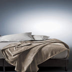 Sunbeam Queen Premium Soft Electric Heated Blanket Velveteen Plush 20 Heat Settings  Dual Controls  (Mushroom Beige)