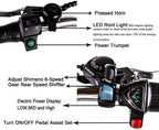 250W  6-Speed Gear Electric Bicycle with 36V10Ah Lithium Battery