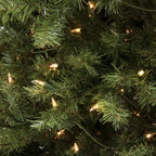 6 ft. Pre-Lit Incandescent Spruce Artificial Christmas Tree with 250 Warm White Lights