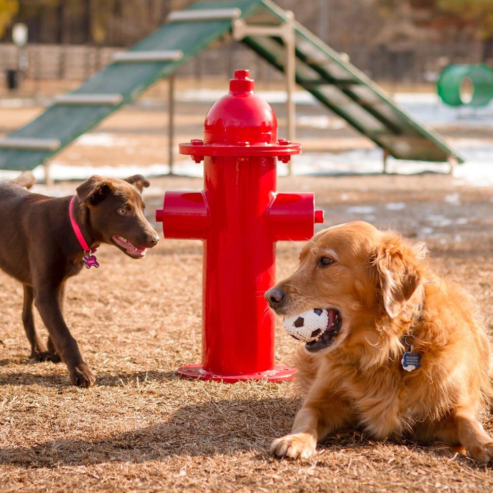 BarkPark Dog Park Fire Hydrant