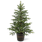 4' Pre-lit Potted Norwegian Spruce Entrance Artificial Christmas Tree ? Clear Lights