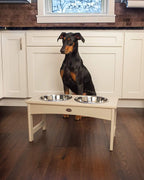 POLYEco-Friendly Raised Pet Feeder