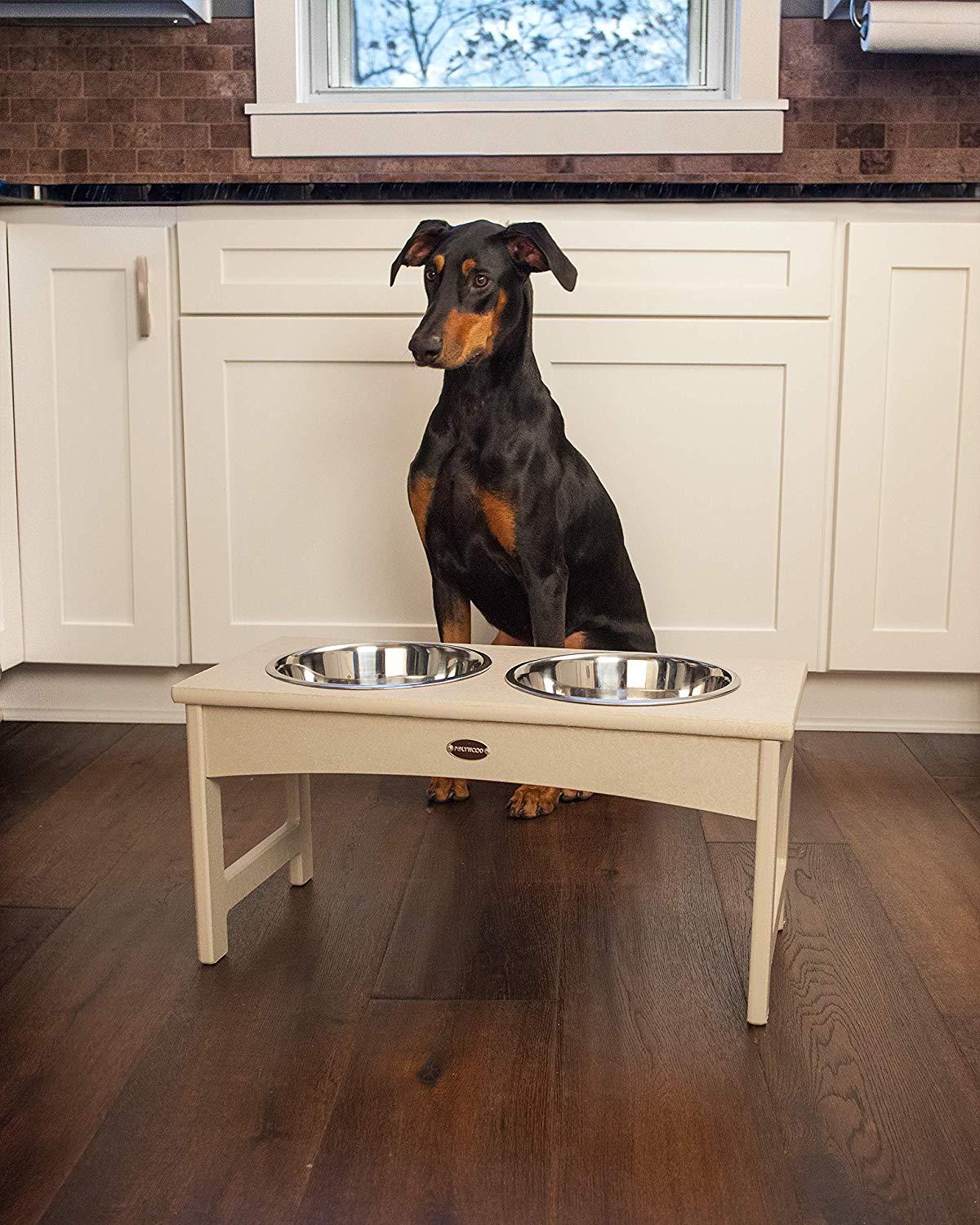 POLYEco-Friendly Raised Pet Feeder