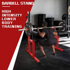 OUSGAR Multi-Function Barbell Rack Dip Stand Height Adjustable Barbell Stand Weight Lifting Rack Gym Family Fitness Squat Rack Weight Lifting Bench Press Dipping Station Weight Set