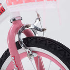 Royalbaby Jenny Princess Pink Girls Bike with Training Wheels and Basket, Best Gifts for Girls. 12 Inch, 14 Inch, 16 Inch Avaliable (Pink, 14 Inch)