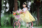 Royalbaby Jenny Princess Pink Girls Bike with Training Wheels and Basket, Best Gifts for Girls. 12 Inch, 14 Inch, 16 Inch Avaliable (Pink, 14 Inch)