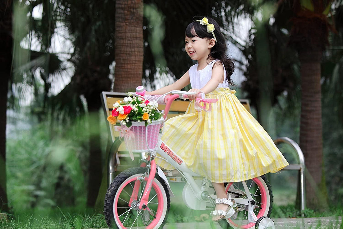 Royalbaby Jenny Princess Pink Girls Bike with Training Wheels and Basket, Best Gifts for Girls. 12 Inch, 14 Inch, 16 Inch Avaliable (Pink, 14 Inch)