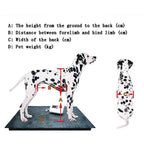 4 Wheel Dog Wheelchair,Adjustable Full Body Support Cart Pet Auxiliary WalDevice Hind Leg Rehabilitation Auxiliary Car,XXL