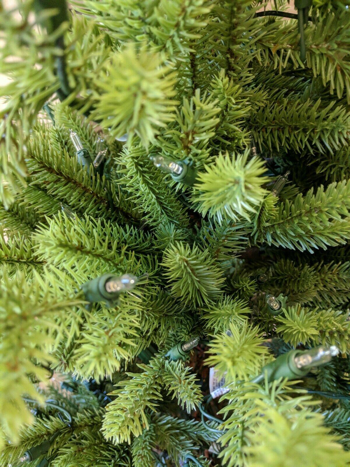 Open Box Balsam Hill Red Spruce Slim 6.5' Tree w Candlelight LED Light Christmas