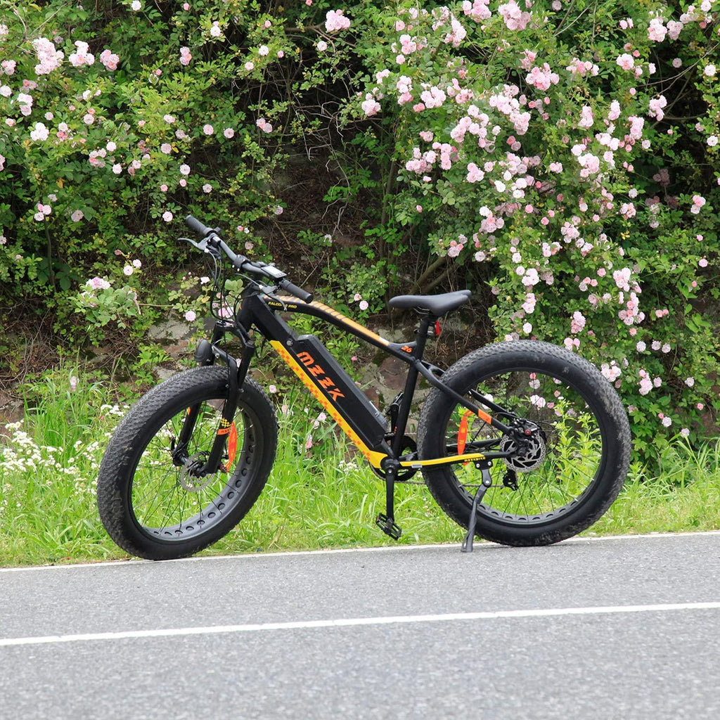750W Fat Tire Electric Bike Adults BAFAGN Motor Electric Mountain E-Bike Samsung 48V Lithium Battery  7-Speed Snow Bicycle E Bikes UL GCC