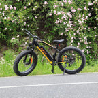 750W Fat Tire Electric Bike Adults BAFAGN Motor Electric Mountain E-Bike Samsung 48V Lithium Battery  7-Speed Snow Bicycle E Bikes UL GCC