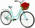 Complete Cruiser Bikes, Beach Cruiser Bike for Women, 26 Inch Commuter Bicycle, Classic Retro Bicycle, Single Speed Bicycle, Leisure Bike with Vegetable Basket, Rear Racks