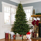 6 ft. Pre-Lit Incandescent Fir Artificial Christmas Tree with 450 Warm White Lights