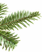 balsam hill ARTIFICIAL CHRISTMAS TREES - Alpine Balsam Fir Tree 6.5ft