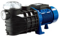 2 hp 230v swimming pool pump with strainer