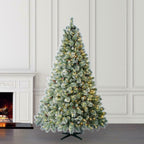 7.5 ft Sparkling Amelia Pine LED Pre-Lit Artificial Christmas Tree 600 Warm LEDs