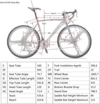 YH-XC550 Road Bike for Men 54cm Frame Bicycle 700C Wheels 21 Speed Dual Disc Brake Urban Commuter Bikes