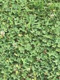 used zero turn lawn mowers for sale