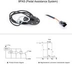 Electric Bike Conversion Kit Front Wheel Motor 350W E Bike Kit 36V Hub Motor 20" Bicycle BLDC Controller with LCD Display Controller PAS Brake Lever for 20 1.95 Tire