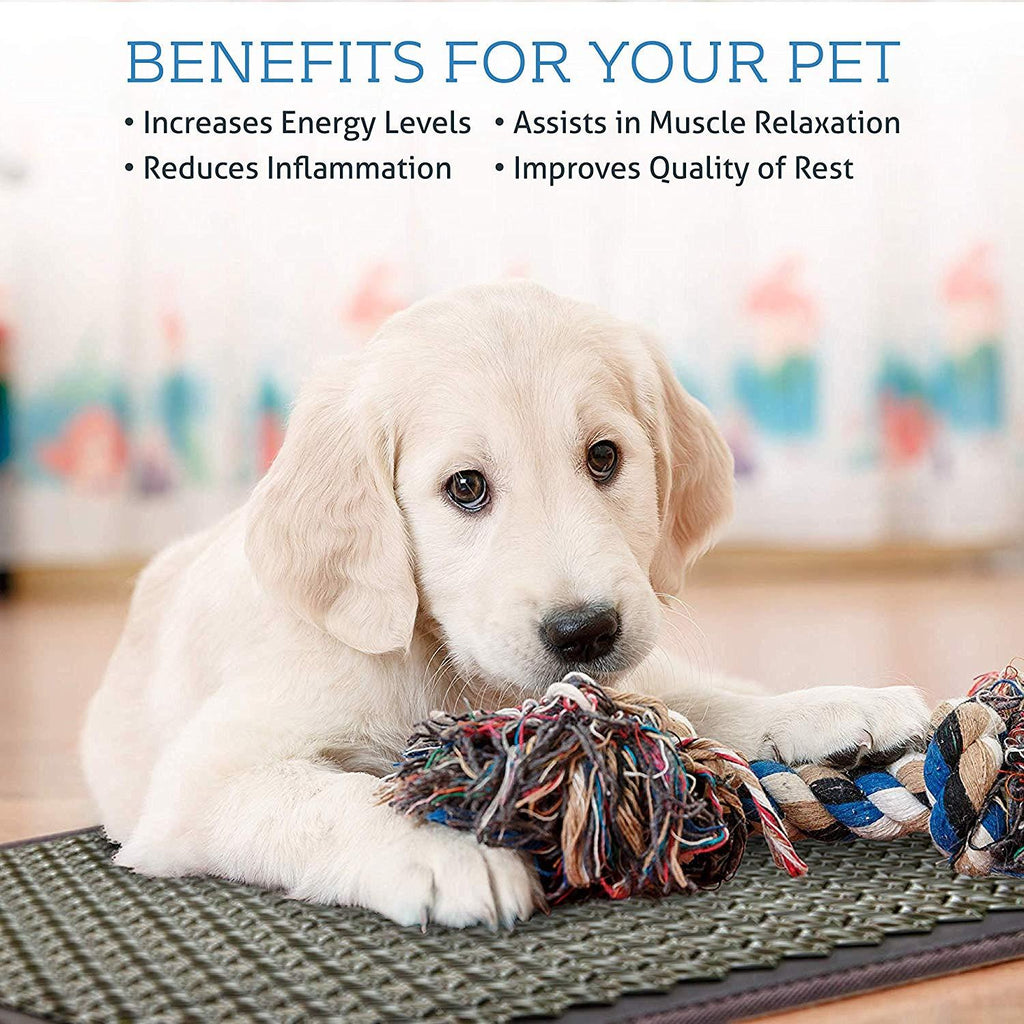 HealthyLine 4-in-1 Pet Mat Tourmaline Medium 3220 Firm - Heating Pet Bed with Far Infrared Rays Therapy - PEMF 7.8 Hz - Tension and Muscle Relaxation Hot Stone Therapy - Negative Ion Therapy